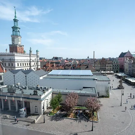 Drevny Kocur Poznań