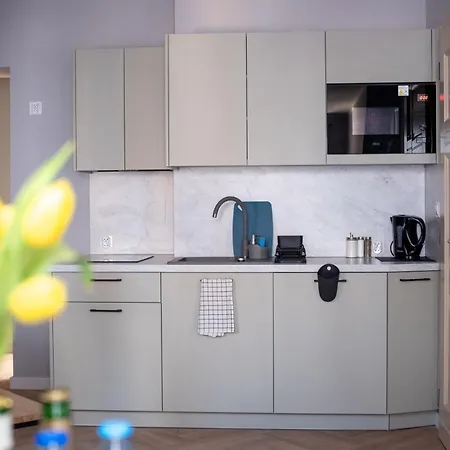 Hotel apartamentowy Drevny Kocur *