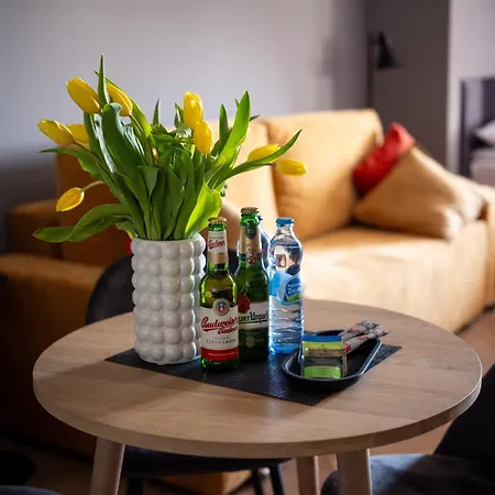Hotel apartamentowy Drevny Kocur Poznań